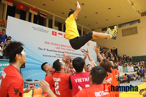 Lại thắng Thái Lan, bóng ném Việt Nam tưng bừng bội thu - 10